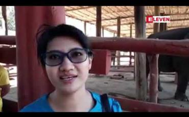Embedded thumbnail for ပဲခူးမြို့နယ်ရှိ ဝင်္ဂဘော်ဆင်ထိန်းသိမ်းရေးစခန်းသို့ လာရောက်လည်ပတ်သူ နေ့စဉ်ရာချီ ရှိနေ