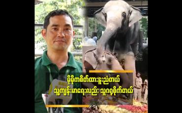 Embedded thumbnail for မိုမို က ပျော်နေတယ်. တစ်ချို့ ပြောစကား တွေဆို သူနားလည်
