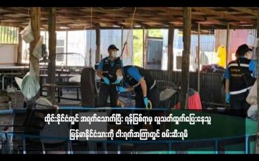 Embedded thumbnail for ထိုင်းနိုင်ငံတွင် အရက်သောက်ပြီး ရန်ဖြစ်ရာမှ လူသတ်ထွက်ပြေးနေသူ မြန်မာနိုင်ငံသားကို ငါးရက်အကြာတွင် ဖမ်းဆီးရမိ
