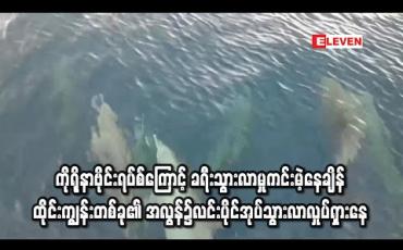 Embedded thumbnail for ကိုရိုနာဗိုင်းရပ်စ်ကြောင့်ခရီးသွားလာမှုကင်းမဲ့နေချိန် ထိုင်းကျွန်းတစ်ခု၏အလွန်၌ လင်းပိုင်အုပ်တစ်အုပ် ရောက်ရှိလာ (ရုပ်သံ) 