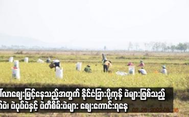 Embedded thumbnail for နိုင်ငံခြားပို့ကုန် ပဲများဖြစ်သည့် မတ်ပဲ၊ ပဲပုပ်ပဲနှင့် ပဲတီစိမ်းပဲများ ဈေးကောင်းရနေ