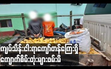 Embedded thumbnail for ကျပ်သိန်းငါးရာကျော်တန်ကြေးရှိကျောက်စိမ်းတုံးများဖမ်းမိ