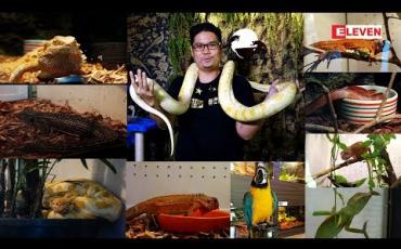 Embedded thumbnail for  Hello Pets (ရုပ်သံအစီအစဉ်)
