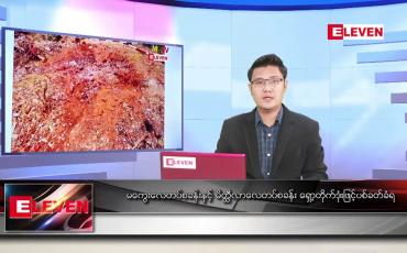 Embedded thumbnail for ဧပြီ ၃၀ ရက် နံနက်ခင်း သတင်းအစီအစဉ် 