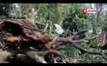 Embedded thumbnail for စစ်ကိုင်းမြို့နယ်၊ကင်းကျေးရွာတွင် လေပြင်းတိုက်ခတ်မှု ဖြစ်ပွားခဲ့ပြီး နေအိမ်တစ်လုံးပေါ် သစ်ကိုင်းကျိုးကျ၍ ကလေးငယ်နှစ်ဦး ပြင်းထန်စွာ ဒဏ်ရာရရှိ