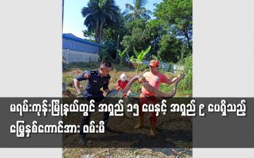 Embedded thumbnail for မရမ်းကုန်းမြို့နယ်တွင် လုံးပတ်တစ်ပေခွဲ၊ အရှည် ၁၅ ပေရှိသည့် မြွေတစ်ကောင်အား ဖမ်းဆီးရမိ
