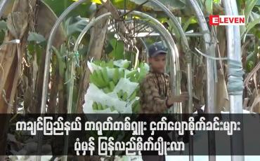 Embedded thumbnail for ကချင်ပြည်နယ် တရုတ်တစ်ရှူး ငှက်ပျောစိုက်ခင်းများ ပုံမှန် ပြန်လည်စိုက်ပျိုးလာ