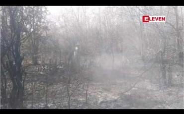 Embedded thumbnail for ယင်းမာပင်ခရိုင် ကနီမြို့နယ် မဟူတောင်ပေါ်တွင် တောမီးလောင်ကျွမ်းရာကနေတစ်ဆင့် လူ၄ဦးထိခိုက်ဒဏ်ရာ ရရှိခဲ့ပြီး လူ၂ဦးသေဆုံးမှုဖြစ်ပွား