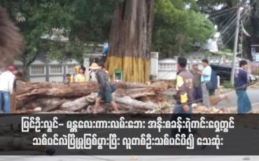Embedded thumbnail for အနီးစခန်းရဲကင်းရှေ့တွင် သစ်ပင်လဲပြိုမှုဖြစ်ပွားပြီး လူတစ်ဦးသစ်ပင်ပိ၍ သေဆုံး