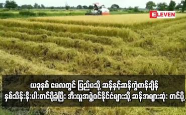 Embedded thumbnail for ယခုနှစ် မေလတွင် ပြည်ပသို့ ဆန်နှင့်ဆန်ကွဲတန်ချိန်နှစ်သိန်းနီးပါးတင်ပို့ခဲ့ပြီး အီးယူအဖွဲ့ဝင်နိုင်ငံ