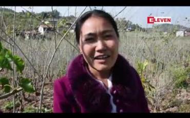 Embedded thumbnail for ရာသီချိန်ကုန်ဆုံးပြီးမှသာ စျေးနှုန်းတက်မှုကြောင့် သနပ်ဖက်တောင်သူများစျေးကောင်းရရှိသူနည်းပါးခဲ့ 