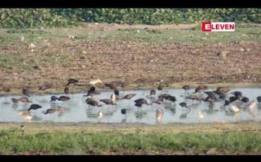 Embedded thumbnail for ဆောင်းခိုငှက်များလာရောက်‌လေ့ရှိသော တောင်သမန်အင်းနှင့် ပလိပ်အင်းတွင် ရေမြေအနေထား ပြောင်းလဲမှုဖြစ်ပေါ်ခြင်းများက သဘာဝဝန်းကျင်ပျက်စီးမှုအတွက် သတိပြုစရာဖြစ်လာ