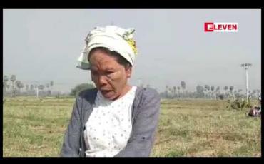 Embedded thumbnail for ဆားလင်းကြီးမြို့နယ် ကျော်ရွာ-မင်္ဂလာကုန်းကျေးရွာဝန်းကျင်မှ ကြက်သွန်နီစိုက်ခင်း အများအပြား အကြောင်းမဲ့ ထိခိုက်ပျက်စီး နေကြောင်း တောင်သူများပြော 