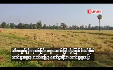 Embedded thumbnail for မိုးစပါးစိုက်တောင်သူအများစုအဆင်မပြေဟု တောင်ငူခရိုင်က တောင်သူများပြော