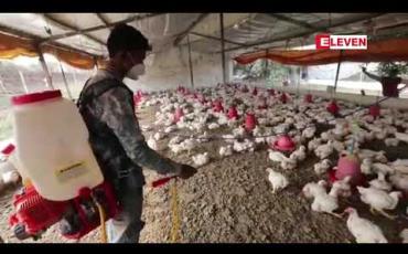 Embedded thumbnail for အိန္ဒိယတွင် ကြက်ငှက်တုပ်ကွေး ပျံ့နှံ့နေသဖြင့် သုတ်သင်ရှင်းလင်းမှုများ ပြုလုပ်နေရ 