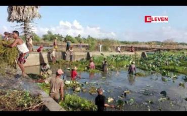 Embedded thumbnail for မင်္ဂလာသောက်သုံးရေကန်အတွင်း ငါးများသေဆုံးမှုဖြစ်ပွါးခဲ့ခြင်းကြောင့် ရေကန်အား ခတ္တပိတ်ထားခဲ့ရ