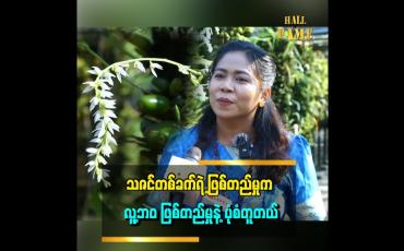 Embedded thumbnail for သဇင် တစ်ခက်မှာ အဖွား၊ အမေ၊ သမီး၊ မြေး ရှိတယ် လူတစ်ယောက်လိုပဲ ၉ လမှ သဇင် တစ်ခက် ဖြစ်တယ် ဆိုတဲ့ မအိမွန်(စိန်ရွှေဖြိုး တော်ဝင်သဇင်ခြံ)
