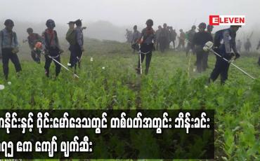 Embedded thumbnail for ကချင်ပြည်နယ်၊ တနိုင်းနှင့် ဝိုင်းမော်ဒေသတွင် တစ်ပတ်အတွင်း ဘိန်းခင်း ၁၇၅ ဧကကျော်ကို ဖျက်ဆီးနိုင်ခဲ့