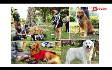 Embedded thumbnail for Hello Pets (ရုပ်သံအစီအစဉ်)