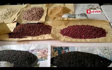 Embedded thumbnail for အိန္ဒိယနိုင်ငံမှအဝယ်ရပ်နားခဲ့ပြီးနောက်စျေးနှုန်းကျဆင်းခဲ့သည့်မတ်ပဲသီးနှံအားတရုတ်နိုင်ငံမှဝယ်ယူလာမှုကြောင့်အရောင်းအဝယ်များ ပြန်သွက်လက်လာ