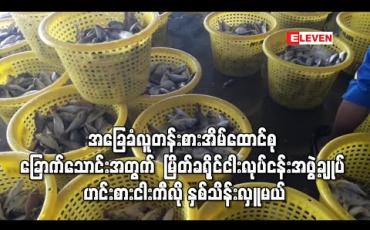 Embedded thumbnail for အခြေခံလူတန်းစားအိမ်ထောင်စု ခြောက်သောင်းအတွက် ဟင်းစားငါးကီလို နှစ်သိန်းကို မြိတ်ခရိုင်ငါးလုပ်ငန်းအဖွဲ့ချုပ် လှူဒါန်းမည်