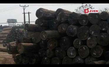 Embedded thumbnail for သစ်အခြေခံ အသေးစားနှင့် အလတ်စားလုပ်ငန်းများအတွက် မြန်မာ့သစ်လုပ်ငန်းက သစ်တန်ချိန် ၅၄၀၀ ကို အိတ်ဖွင့်လေလံစနစ်ဖြင့် ရောင်းချပေးမည် 