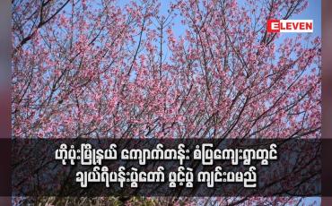 Embedded thumbnail for ဟိုပုံးမြို့နယ် ကျောက်တန်း စံပြကျေးရွာတွင် ချယ်ရီပန်းပွဲတော် ဖွင့်ပွဲ ကျင်းပမည်