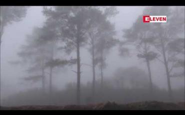 Embedded thumbnail for ၂၀၁၉ - ၂၀၂၀ ပြည့်နှစ်မှစပြီး ကျွန်းနှင့်သစ်မာထုတ်လုပ်ခြင်းကို လျှော့ချရန်ဆောင်ရွက်ထားဟု ပြည်ထောင်စုဝန်ကြီး ပြောကြား 