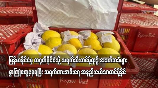 Embedded thumbnail for မြန်မာနိုင်ငံမှ တရုတ်နိုင်ငံသို့ သရက်သီးတင်ပို့ရာ၌ အခက်အခဲများစွာကြုံတွေ့နေရ