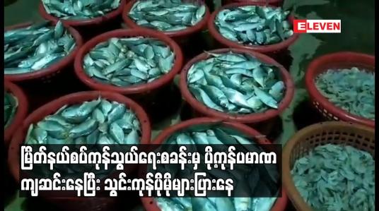 Embedded thumbnail for မြိတ် နယ်စပ်ကုန်သွယ်ရေးစခန်းမှ ပို့ကုန်ပမာဏ ကျဆင်းနေပြီး သွင်းကုန် ပိုမိုများပြားနေ