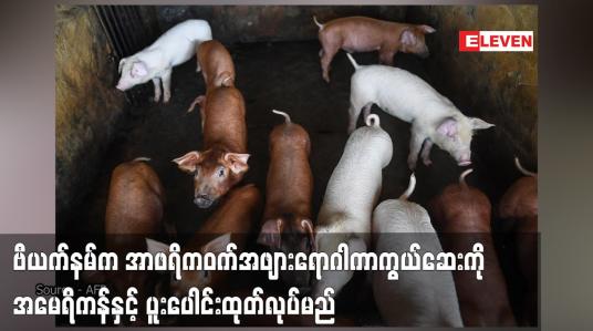 Embedded thumbnail for ဗီယက်နမ်က အာဖရိကဝက်အဖျားရောဂါကာကွယ်ဆေးကို အမေရိကန်နှင့် ပူးပေါင်းထုတ်လုပ်ကာ ပြည်ပသို့တင်ပို့မည်