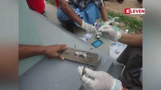 Embedded thumbnail for စစ်ကိုင်းတိုင်းဒေသကြီး မုံရွာခရိုင် ဘုတလင်မြို့နယ်မှာ ကြွက်ကောင်ရေ ၅ဝဝထက်မနည်း အစုလိုက်အပြုံလိုက် သေဆုံး