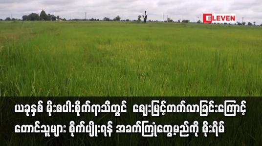 Embedded thumbnail for ယခုနှစ် စပါးစိုက်ရာသီတွင် ဈေးနှုန်းမြင့်လာခြင်းကြောင့် တောင်သူများ အခက်ကြုံမည်ကို စိုးရိမ်