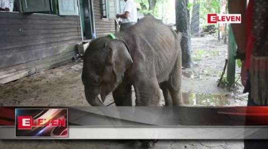 Embedded thumbnail for ဧရာဝတီတိုင်းအတွင်း အရေးပေါ်ကွန်ဂျီဆင်စခန်း ငါးခုအထိ ဖွင့်လှစ် ဆောင်ရွက်နေ