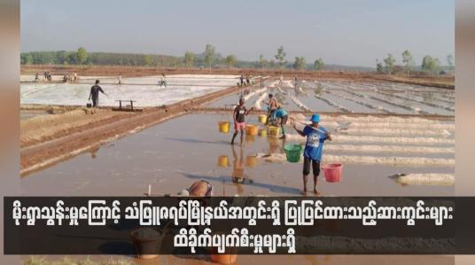 Embedded thumbnail for မိုးရွာသွန်းမှုကြောင့် သံဖြူဇရပ်မြို့နယ်အတွင်းရှိ ပြုပြင်ထားသည့်ဆားကွင်းများ ထိခိုက်ပျက်စီးမှုများရှိ