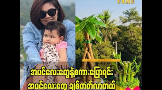 Embedded thumbnail for အပင်လေးတွေ နဲ့ စကားပြောရင်း အပင်လေးတွေ ကိုချစ်လာတယ်. 