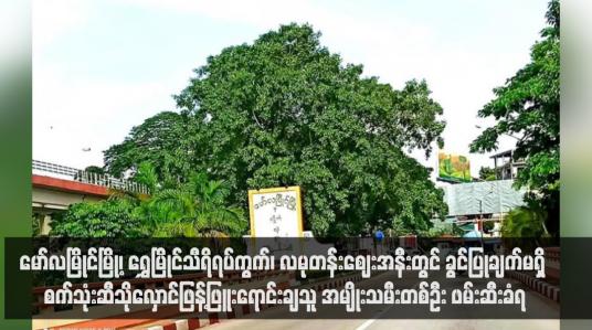 Embedded thumbnail for မော်လမြိုင်မြို့၊ ရွှေမြိုင်သီရိရပ်ကွက်၊ လမုတန်းဈေးအနီးတွင် ခွင်ပြုချက်မရှိ စက်သုံးဆီသိုလှောင်ဖြန့်ဖြူးရောင်းချသူ အမျိုးသမီးတစ်ဦး ဖမ်းဆီးခံရ (ရုပ်သံ)