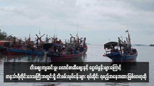 Embedded thumbnail for ငါးဈေးကျဆင်းမှု၊ လောင်စာဆီဈေးနှင့် ငွေလဲနှုန်းများကြောင့် တနင်္သာရီတိုင်းဒေသကြီးအတွင်းရှိ ငါးဖမ်းလုပ်ငန်းများ ရပ်ဆိုင်း ရမည့်အနေအထားဖြစ်လာဟုဆို
