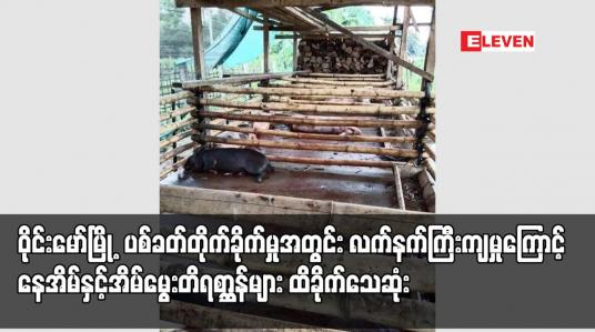 Embedded thumbnail for ဝိုင်းမော်မြို့ ပစ်ခတ်တိုက်ခိုက်မှုအတွင်း လက်နက်ကြီးကျရောက်မှုကြောင့် နေအိမ်နှင့် အိမ်မွေးတိရစ္ဆာန်များ ထိခိုက်သေဆုံး