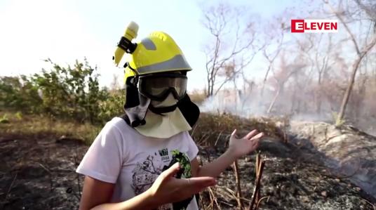 Embedded thumbnail for မာတိုဂရော့ဆိုက ဘရာဇီးတောမီးများသည် လူကြောင့်လောင်သောတောမီးများဖြစ်သည်ဟု သုတေသီများပြောကြား