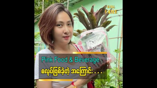 Embedded thumbnail for Pink Food &amp;amp; Beverage ဆိုပြီး မြိတ်ဒေသထွက် အစားအသောက်တွေ ကို ရောင်းနေပါတယ်ဆိုတဲ့ မိုးဟေမာန်ခင်