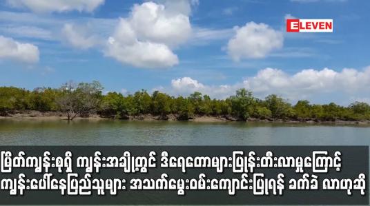 Embedded thumbnail for မြိတ်ကျွန်းစုရှိ ကျွန်းအချို့တွင် ဒီရေတောများပြုန်းတီးလာမှုကြောင့် အသက်မွေးဝမ်းကျောင်းပြုရန် ခက်ခဲလာ