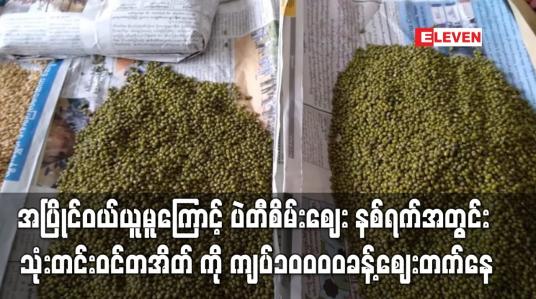 Embedded thumbnail for ပဲတီစိမ်းဈေး နစ်ရက်အတွင်း သုံးတင်းဝင်တအိတ် ကို ကျပ်၁၀၀၀၀ခန့်ဈေးတက်နေ