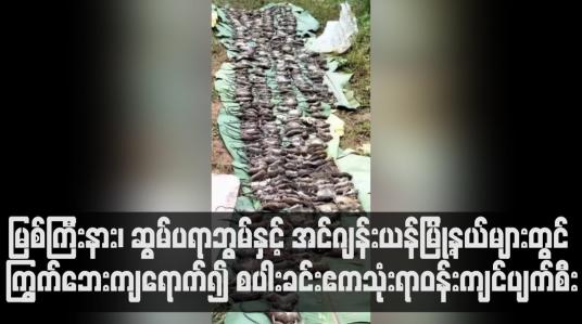 Embedded thumbnail for မြစ်ကြီးနား၊ ဆွမ်ပရာဘွမ်နှင့် အင်ဂျန်းယန်မြို့နယ်များတွင် ကြွက်ဘေးကျရောက်၍ စပါးခင်းဧကသုံးရာဝန်းကျင်ပျက်စီး