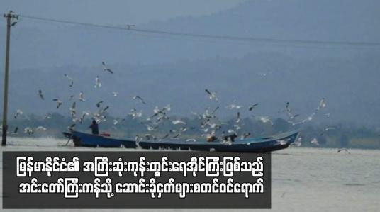 Embedded thumbnail for မြန်မာနိုင်ငံ၏အကြီးဆုံးကုန်းတွင်းရေအိုင်ကြီးဖြစ်သည့်အင်းတော်ကြီးကန်သို့ဆောင်းခိုငှက်များစတင်ဝင်ရောက်