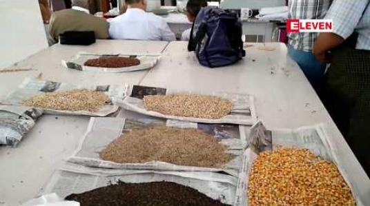 Embedded thumbnail for တရုတ်ဝယ်လက်ရှိနေမှုကြောင့် ရေသွင်းပဲတီစိမ်း(အညာစ) မန္တလေးစျေးကွက်တွင် ယခင်နှစ်ကာလတူထက် စျေးပိုကောင်းနေ 