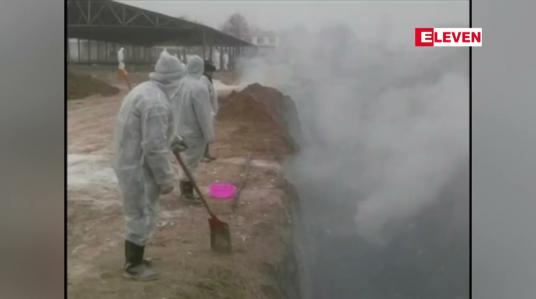 Embedded thumbnail for H10N3 ကြက်ငှက်တုပ်ကွေးရောဂါ လူတွင် ပထမဆုံး ကူးစက်မှုကို တွေ့ရှိရဟု တရုတ်အာဏာပိုင်များ ထုတ်ပြန်