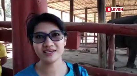 Embedded thumbnail for ပဲခူးမြို့နယ်ရှိ ဝင်္ဂဘော်ဆင်ထိန်းသိမ်းရေးစခန်းသို့ လာရောက်လည်ပတ်သူ နေ့စဉ်ရာချီ ရှိနေ