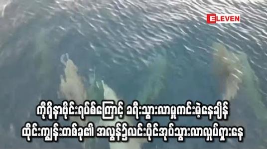 Embedded thumbnail for ကိုရိုနာဗိုင်းရပ်စ်ကြောင့်ခရီးသွားလာမှုကင်းမဲ့နေချိန် ထိုင်းကျွန်းတစ်ခု၏အလွန်၌ လင်းပိုင်အုပ်တစ်အုပ် ရောက်ရှိလာ (ရုပ်သံ) 