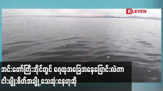 Embedded thumbnail for အင်းတော်ကြီးအိုင်တောင်ဘက်ခြမ်းတွင် ရေထုအခြေအနေပြောင်းလဲကာ ငါးမျိုးစိတ်အချို့ သေဆုံးနေဟုဆို